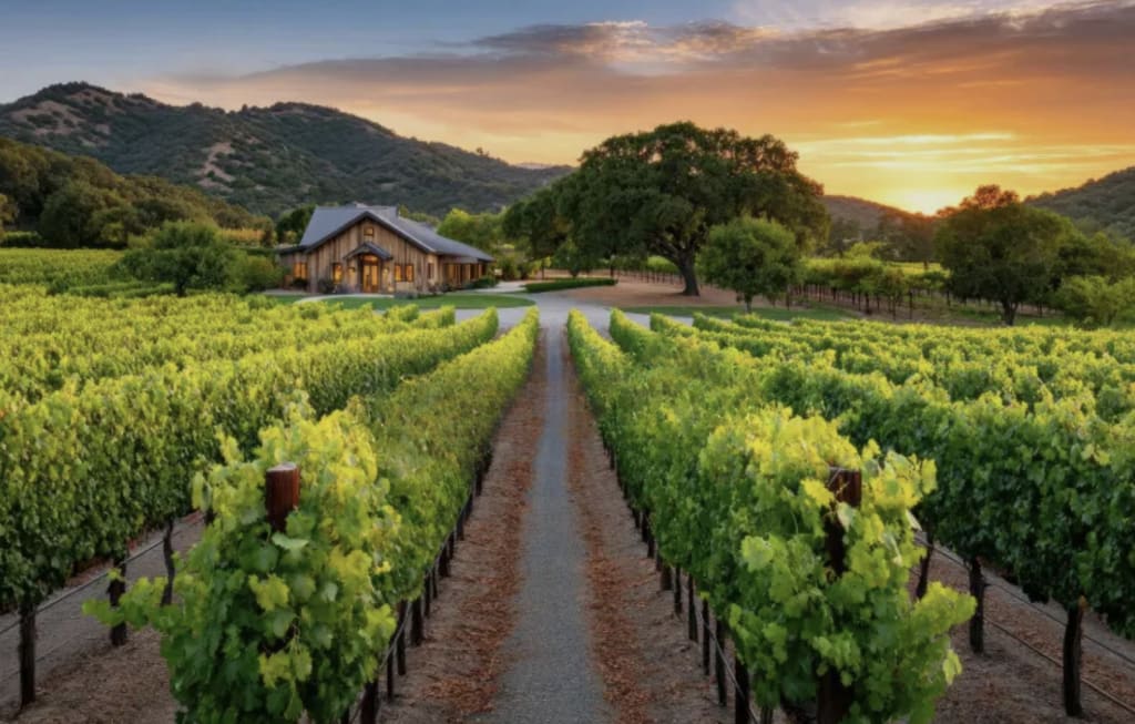 Healdsburg or Sonoma: Which Wine Country Town Is Right For You? inception-app-prod/ZDFmOWMzYTktNzU4Zi00YTIzLTk3MjYtYThkN2JkMGVlYzA3/content/2025/12/f013f1ea29fe89eaa32c89a587446c8070c8cd14.png