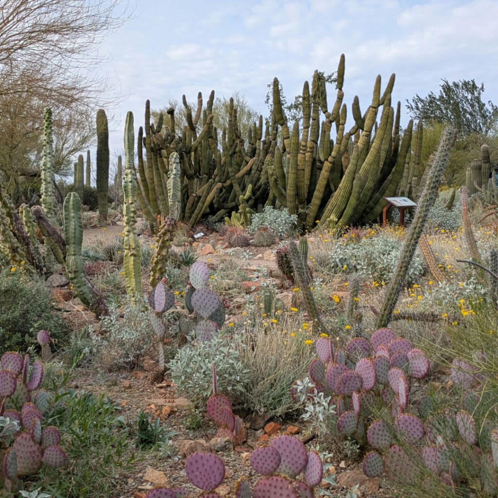 Guest Homes in Arizona Are More Than a Luxury. They Are a Lifestyle Asset. inception-app-prod/ZDQ0MTlkOGQtM2MyOS00MGRiLThkMTAtN2NmODVkZTVjM2U2/content/2026/05/de9af9ecd38e1d37e5e4f3ed5c962b06ccecb2a7.png