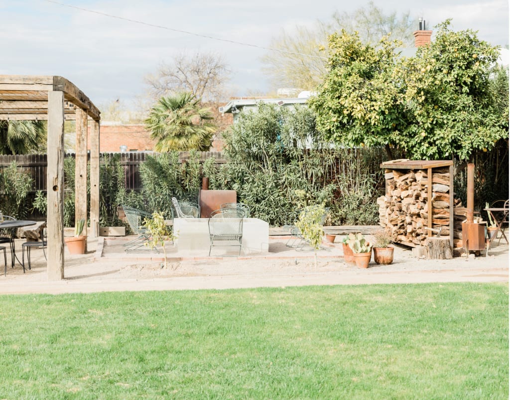 This Garden Looks Dead! Here's How to Revive it Quickly inception-app-prod/Zjg5NzQ2ZWMtMzU0MS00YzMzLWJlNDEtMzUzNzJlMWZhMmZh/content/2022/11/5625a993a514b4b36e3b9e802f2bc4d0cee5ba43.png