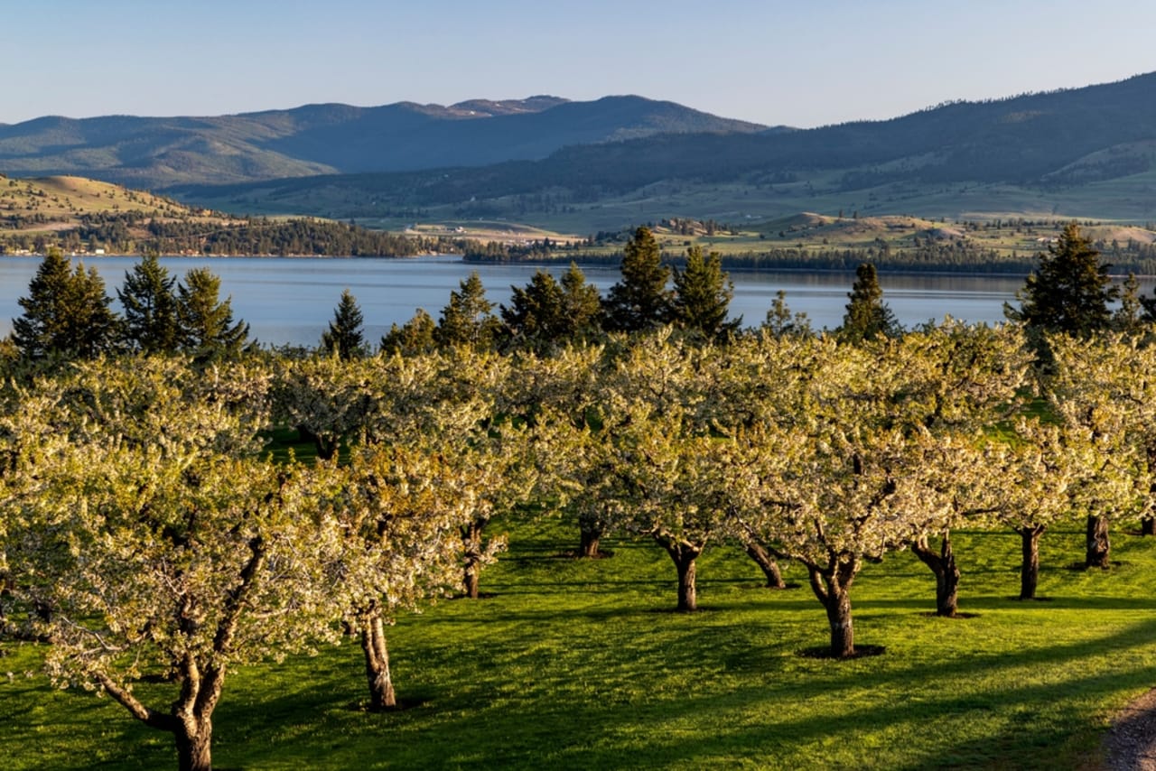 Lake County inception-app-prod/M2U1YWRjNzAtMTI4NS00NmU0LWE0NWQtYmI4OTY3MzIyNmVh/content/2026/01/4d71f078208efb3a70eea31d72376296785f7297.jpg