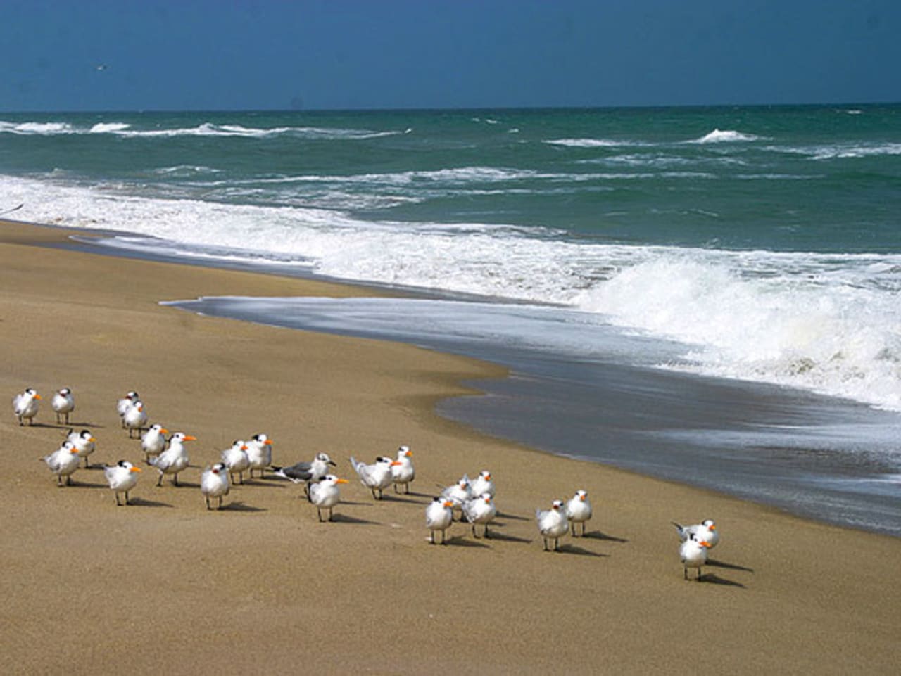 inception-app-prod/MDdkMWJkMzYtOTJhYy00NGRkLWFmMDUtODNiMmY3YmZkYzRj%2Fmedia%2F2015%2F07%2Fjensen_beach_real_estate.jpg
