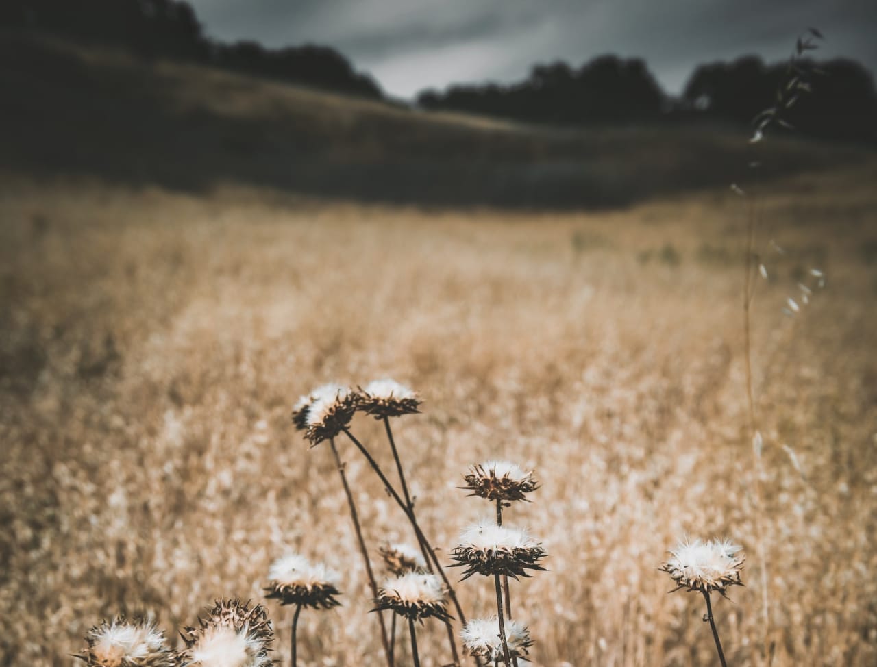 Bedford inception-app-prod/MDgwNmNiOWYtMWZjZi00NzI4LTk2ZTAtYjFjY2VmM2UyMzM5/content/2021/08/tim-mossholder-7wF_QTCEglI-unsplash%282%29.jpg