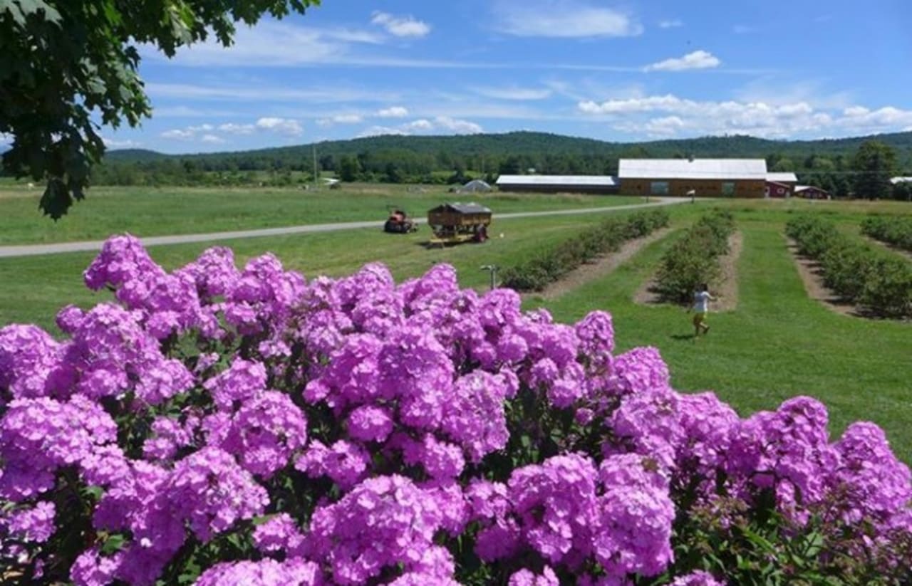 inception-app-prod/MDhhMjIxNzEtMmJlMy00MmZjLWE1MDItY2E0NmYzMjFhYTJh/content/2016/06/Isham Family Farm.jpg