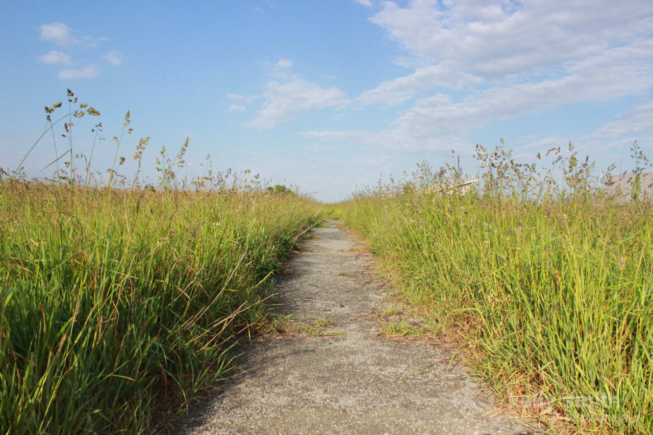 inception-app-prod/MGMxN2M5ZTEtYmFkYi00YWE4LWIyM2MtMmE2MjQxNTM0Mjgy/content/2019/01/NewPort Grassy Walk Kelly Smith.jpg