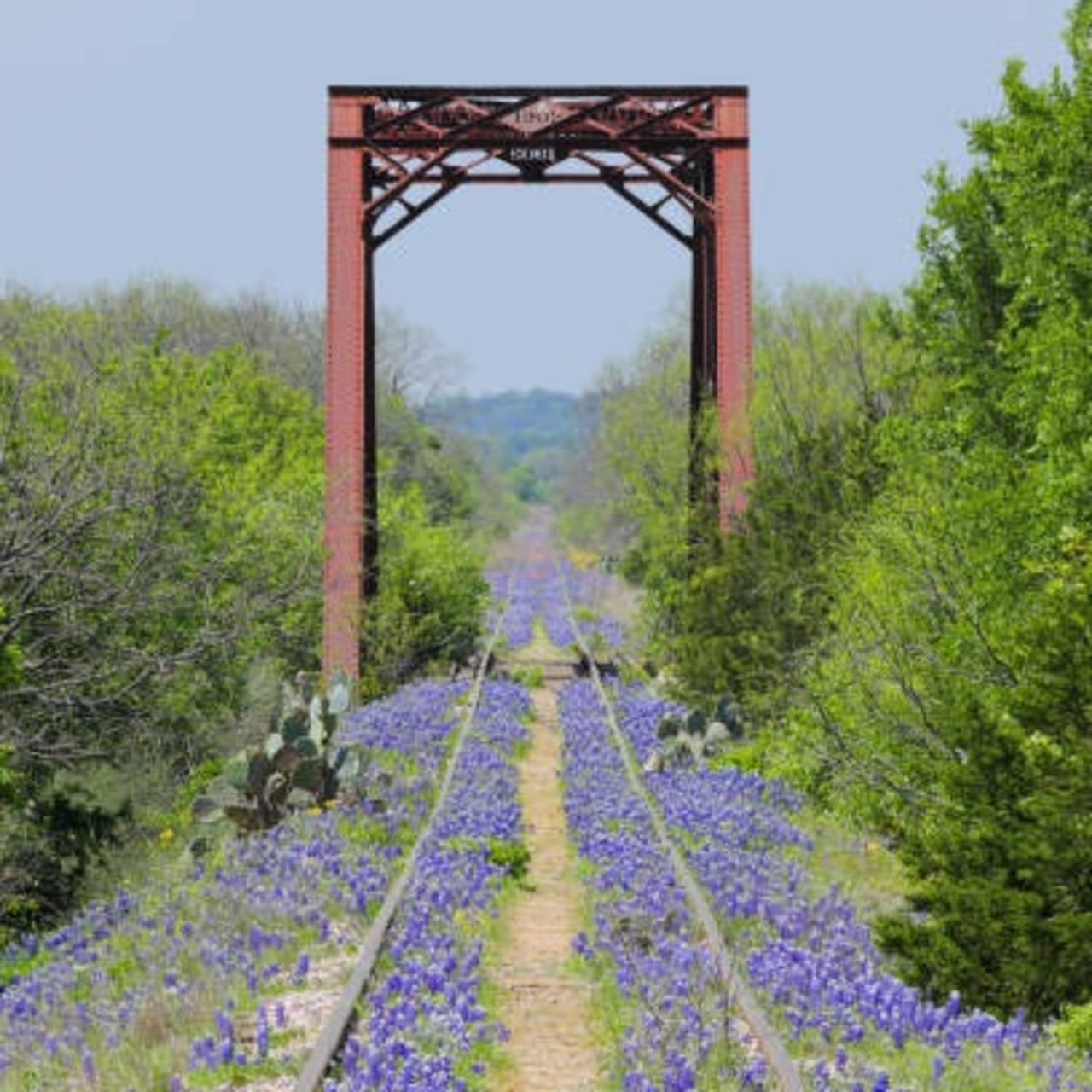 Services inception-app-prod/MGZjZjQ4ZTgtMWZlNi00YTFhLTg5MjQtN2ZkZGEyNmNmNmU1/content/2025/03/ab1a39636a4e6f923e267437f694c3bffa80d636.jpg