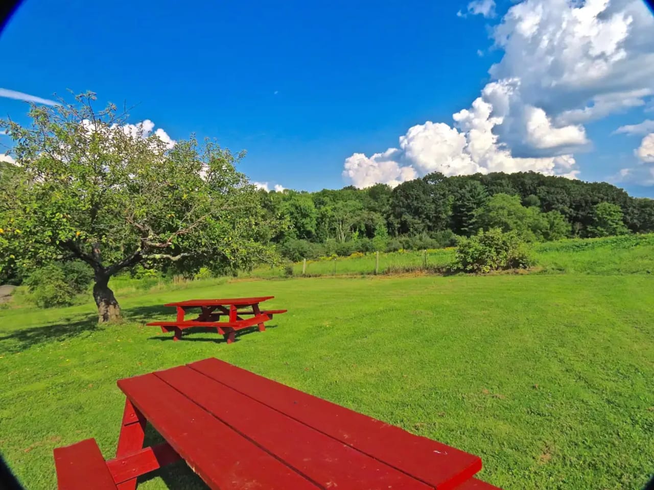 North Brookfield, MA inception-app-prod/MTVkODk2NzktMTc2Yy00NjUzLWI4NGMtMGIzYTFlYjUwOTIz/content/2025/09/a2f0d96ced71a41a410792f6eb8a9be68ccaf6f2.webp