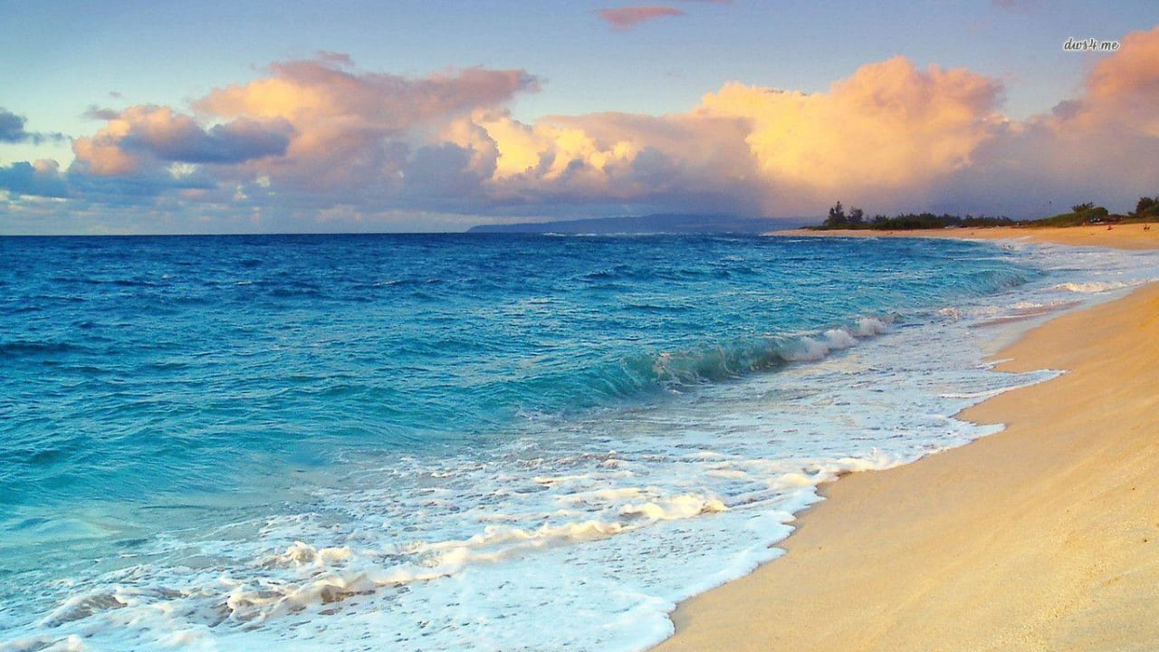KAANAPALI inception-app-prod/MTY5YjczMTUtNjEyNi00YjAzLThhMmQtOWI3ZDg0YzEwZWU1/content/2024/07/354f8e3ff2fd6fda896a78cc04fa048d2ec3bd11.jpg