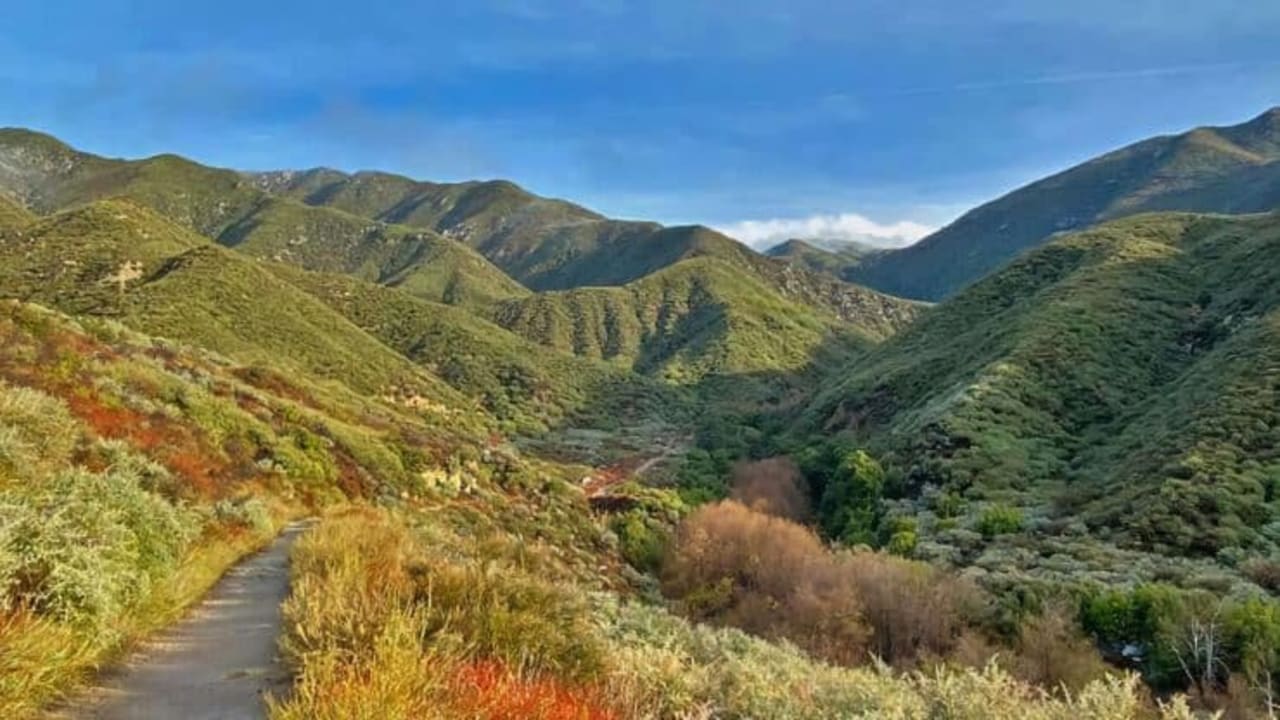 Etiwanda inception-app-prod/MWM3MDEzMzQtYzIwNC00YmYzLTkwNGEtOTFkZmQ2NDBiM2E1/content/2023/09/d2792f1aa91d34d682dccca1f4c7de103abf4999.jpg