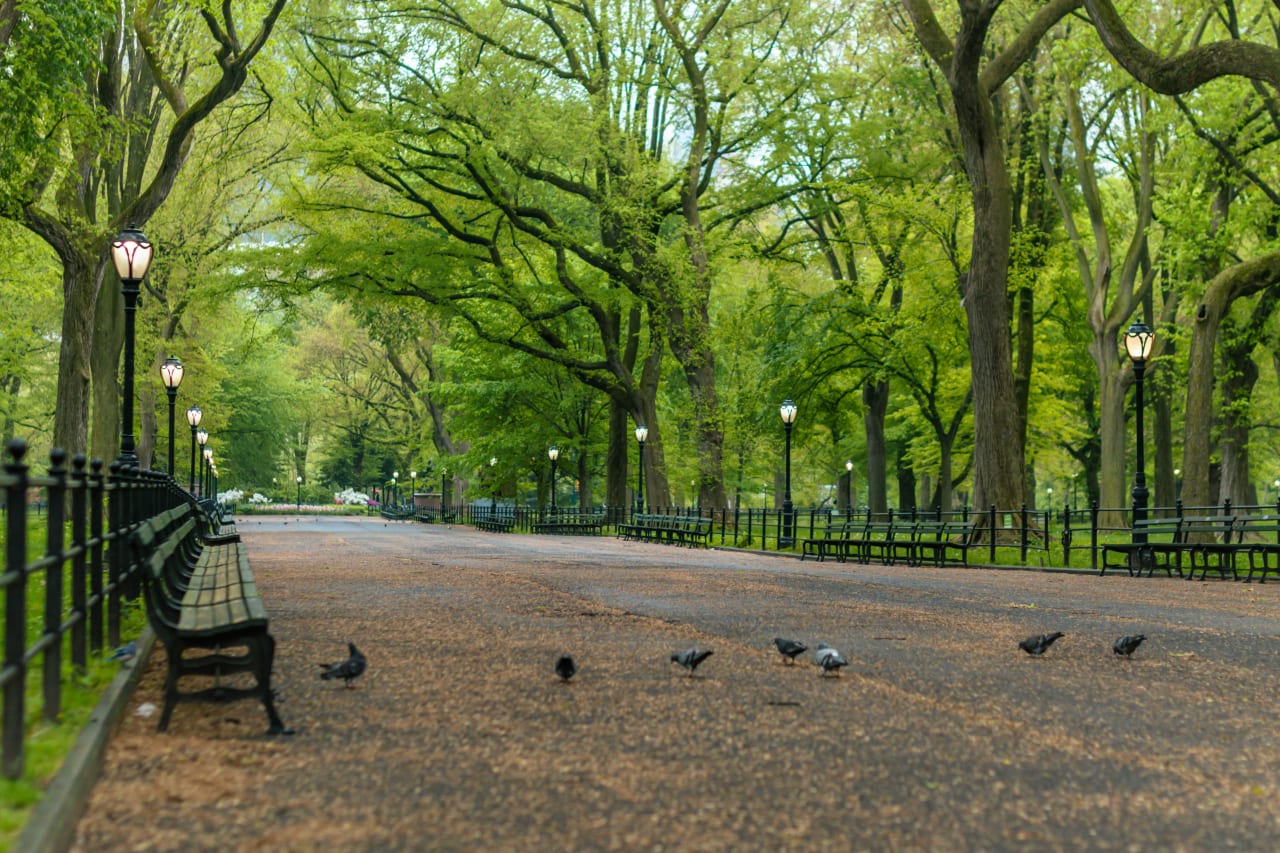 City Park inception-app-prod/MWU5MmJjNTQtMjJhOS00MzRmLWIxMGYtMjUyYmIxMzlkYWJi/content/2025/03/c80501d692feb7126b426720c3b8c06ec5e61642.jpg