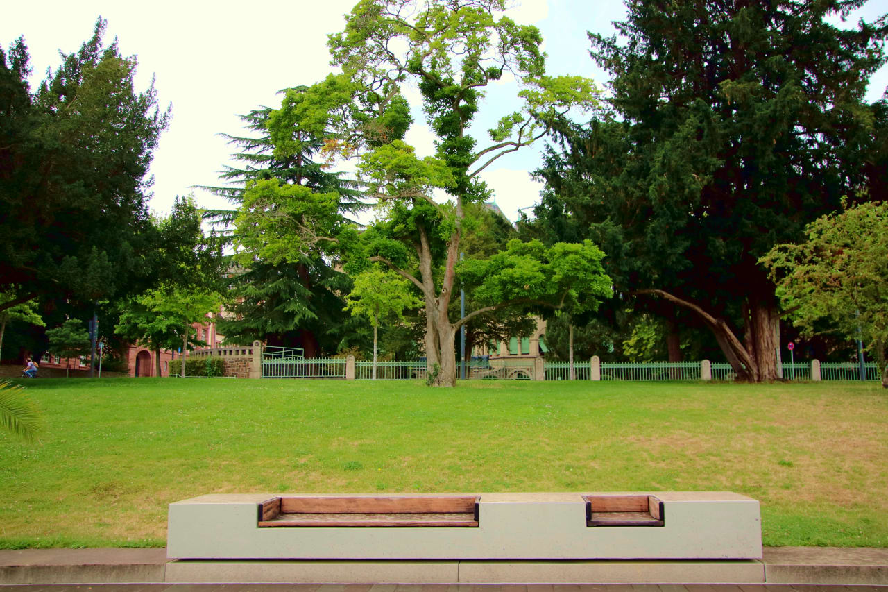 Congress Park inception-app-prod/MWU5MmJjNTQtMjJhOS00MzRmLWIxMGYtMjUyYmIxMzlkYWJi/content/2025/05/1c149e8db5e7a8efbebf9dd94c1ac88b5b154b5c.jpg