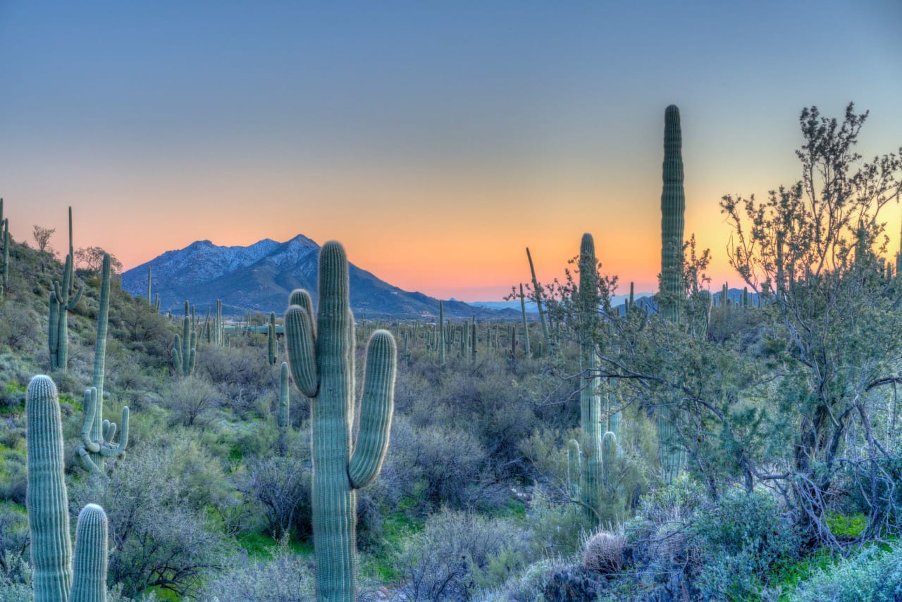 LAND FOR SALE inception-app-prod/MjVlMjI4ZjYtYTdjYy00Y2E0LTk2YWUtMzFiMjllNGQyY2Rl/content/2023/03/ef5ea0bdb5ab36d8ee0c9af415cce7fb772b1434.jpg