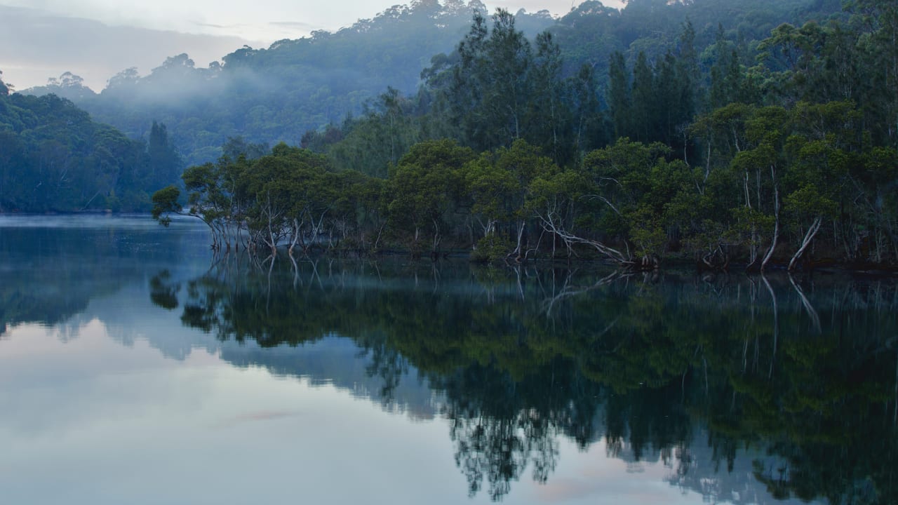 Davidson, NC inception-app-prod/Mjc1ZjE0YTQtOWZjNi00ZDNkLTkzNTUtMWRlYjU2ZjRjNmE4/content/2024/09/2cef4e8c7b8a841e74fffbeb16917e1d7e52781c.png