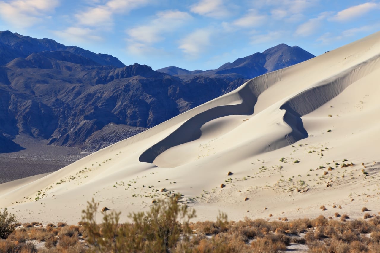 Desert Land For Sale inception-app-prod/MjhlN2JmOWMtMzI5OC00ZjlkLTk2ZmUtZWM4MTNjN2Y4MGE3/content/2026/10/f19a96c2a7369b10008dbf022cc363394c4bab88.jpg