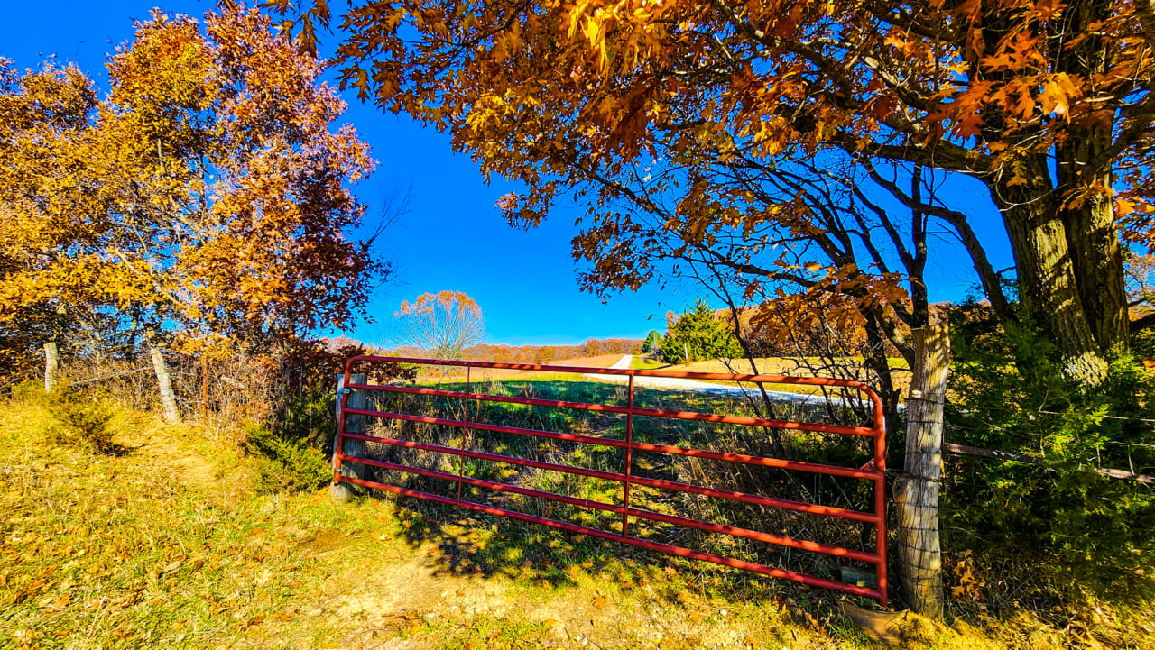 Lots and Land inception-app-prod/MmEzMTU2YjEtMGJkZC00NjZlLThiNzctMTY2NTMyMjEzYWQx/content/2023/06/dfe07b880749e8ccebf7f4cffad80a1f922bcfd3.jpeg