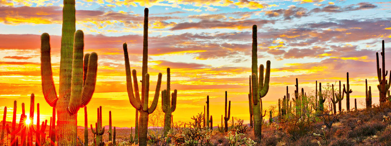 Communities inception-app-prod/MzdmNzVkZDYtNTM5MS00YzhkLTk5NjktOTc5ZDM4ODUxM2Rm/content/2021/08/mesa%281%29.jpg