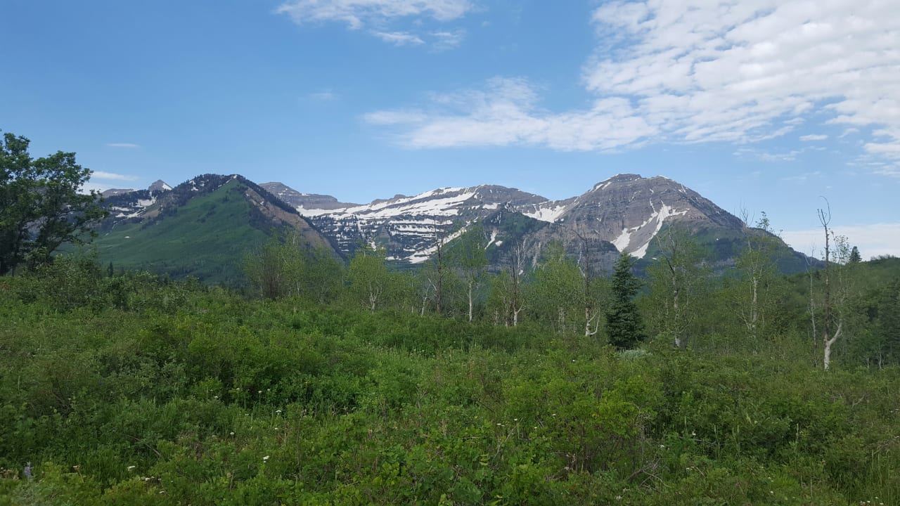 American Fork inception-app-prod/N2Q2OGNhZTYtMDU2OC00OTlhLWFiOTUtYzBiNTUyNDhhNGFj/content/2024/05/6408c1c4b54a8ace9ec30378d5edd2186861bc9b.jpg