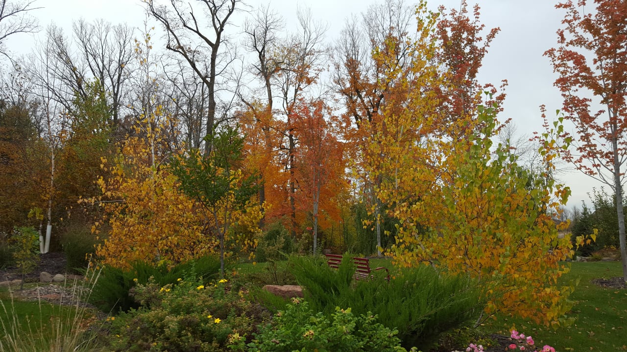 Oak Grove homes for sale inception-app-prod/NDRkOWQ0NmUtZTM1Yi00MzU1LTllMjctYzEzNzg4NDFiZGVi%2Fcontent%2F2017%2F02%2F20161015_132537.jpg