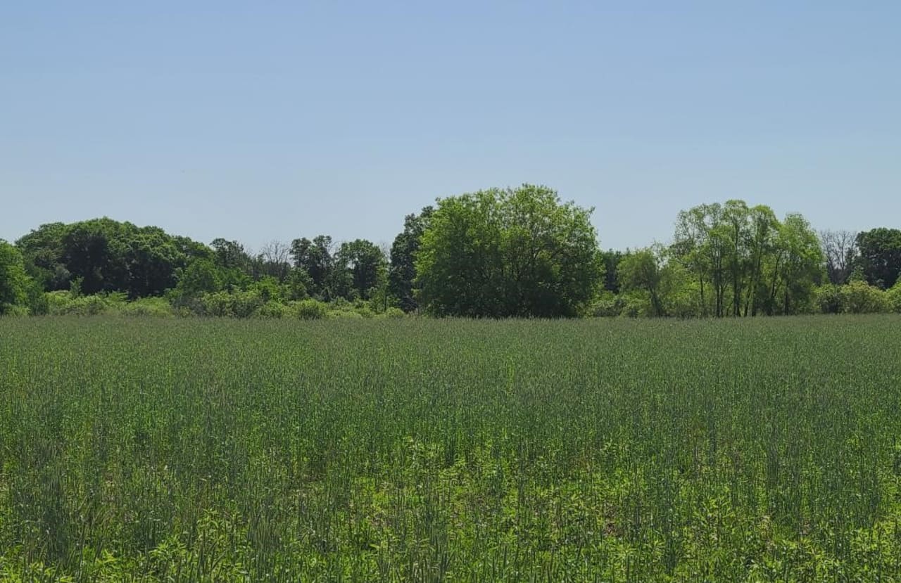 Acreage lots in the north metro inception-app-prod/NDRkOWQ0NmUtZTM1Yi00MzU1LTllMjctYzEzNzg4NDFiZGVi/favicon/2020/06/tucker-trail.jpeg