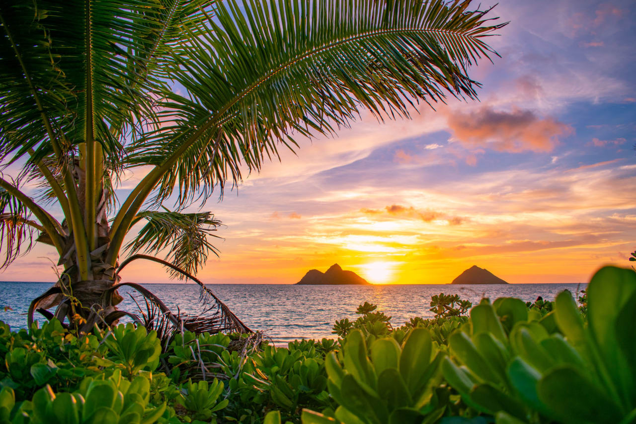 Kailua inception-app-prod/NTM1NjJhNmYtNjQ5Yy00ZGEzLWE4MWItZTIzOTAyZmZmMDU5/content/2021/08/shutterstock_1202144314.jpg