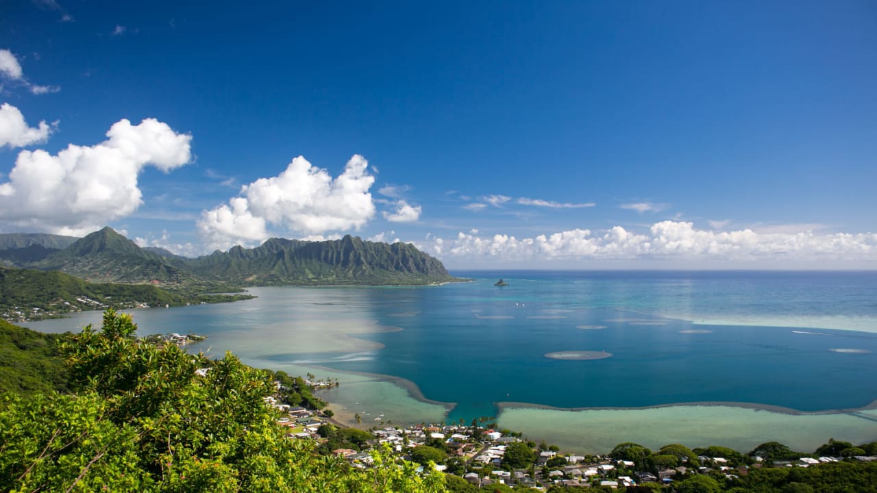 Kaneohe inception-app-prod/NTM1NjJhNmYtNjQ5Yy00ZGEzLWE4MWItZTIzOTAyZmZmMDU5/content/2021/10/54539cd01dc9148fee10859727419ce27c67af91.jpg