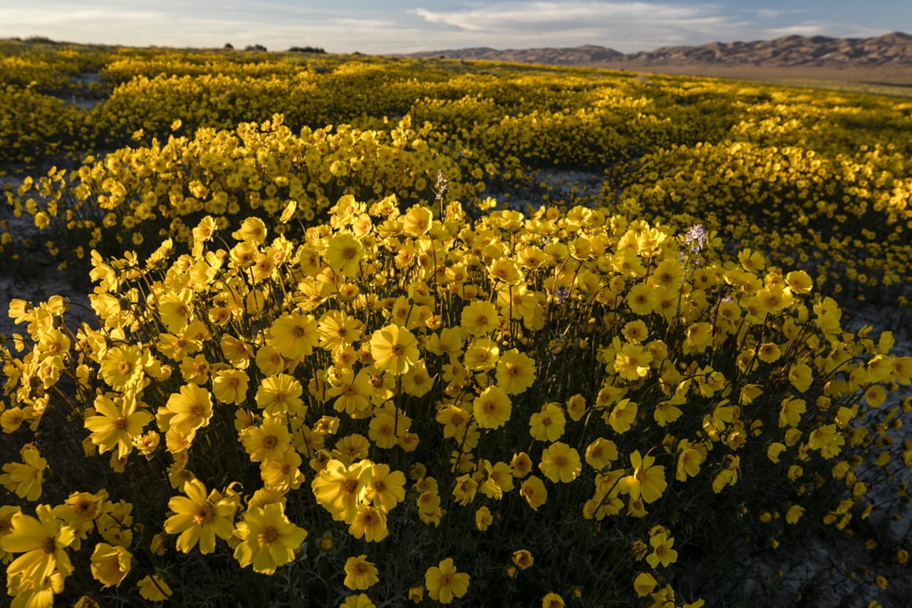 Antelope Valley inception-app-prod/NTY3MDQ4YTctODhlYS00ZDAwLWI0MTYtNjczMmNiYTNjMWI5/content/2026/05/a1b38a501f16006a4d53c8c23705968575242a50.jpg