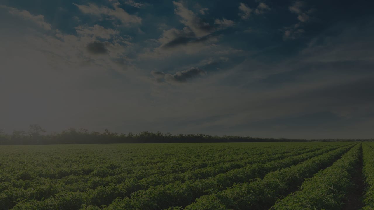 Humphreys County inception-app-prod/NTdiNmMxOTQtMzFmMy00YjAwLWFmMzctY2ZiMTZmNDhmYjFj/content/2025/08/91c0e69c2a017e78e7d619971a48bbe7e7ef98ed.jpg