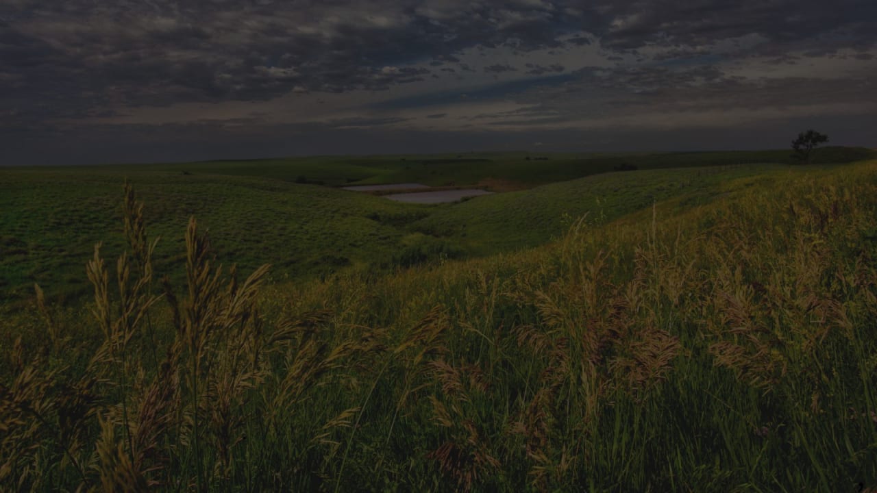 Dickson County inception-app-prod/NTdiNmMxOTQtMzFmMy00YjAwLWFmMzctY2ZiMTZmNDhmYjFj/content/2025/08/e44c8e959cf2e6ae8c8d351beba824b37fd8cb55.jpg