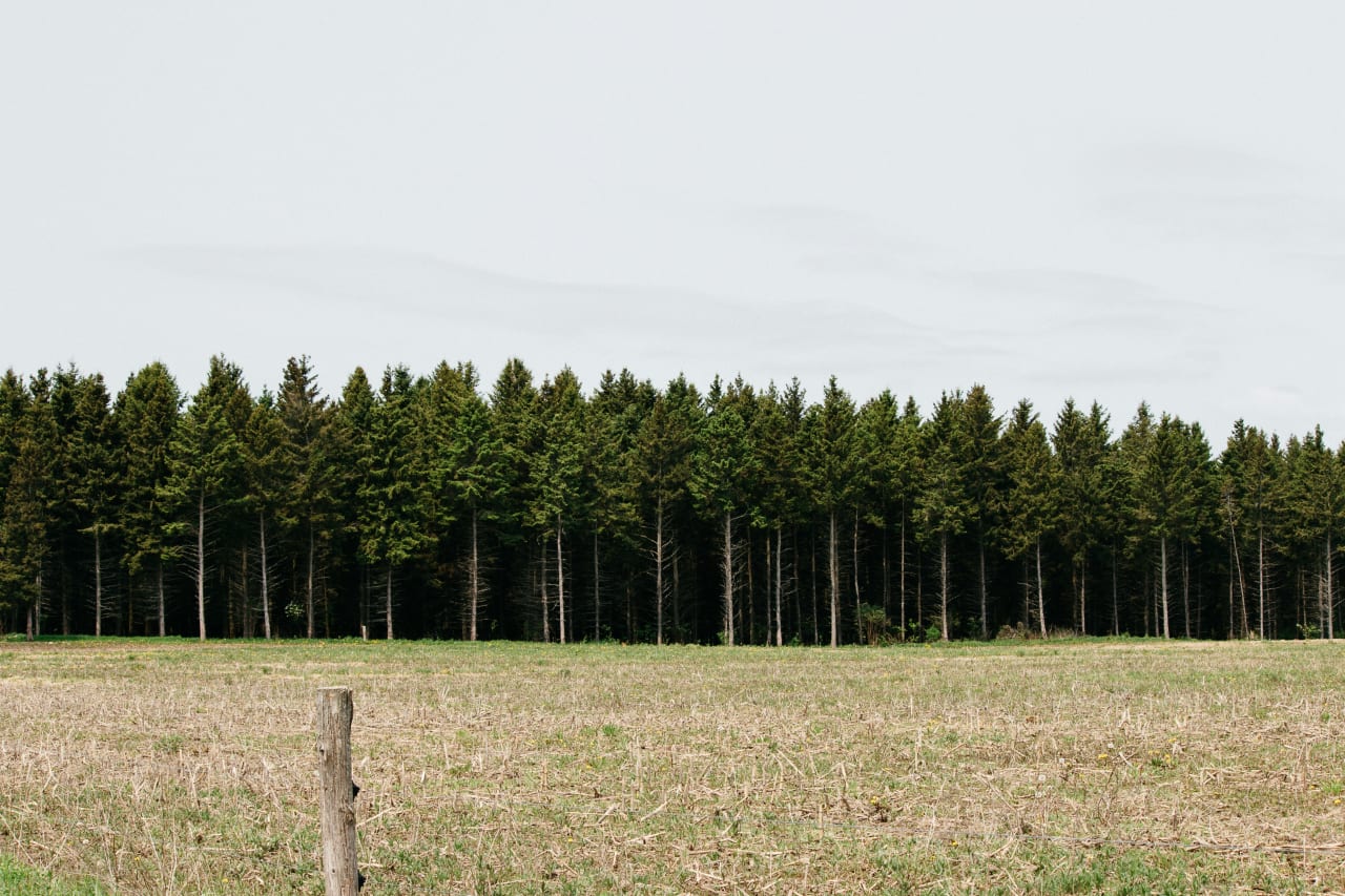 Carthage, Texas inception-app-prod/NWE1ODA4YTUtODdiZC00YmVjLTk2NjEtOWE5MzUxMDVlNWRk/content/2026/02/c574335ecd1055eadb3cdc87bab0dd8343d0eb2d.jpg