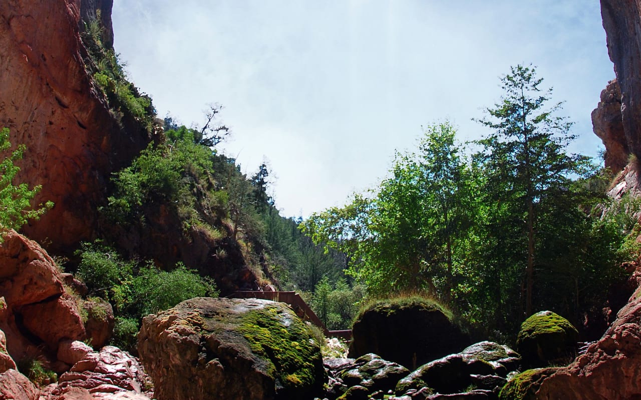 Pine inception-app-prod/NmJhYTAwMjAtOTY4NC00OWI4LTkxYTgtODA1MTRjZTIzMGQ2/content/2024/10/4d40827bc4ab1d891fb5f6c0edcf3a7d6e10c1a5.jpg