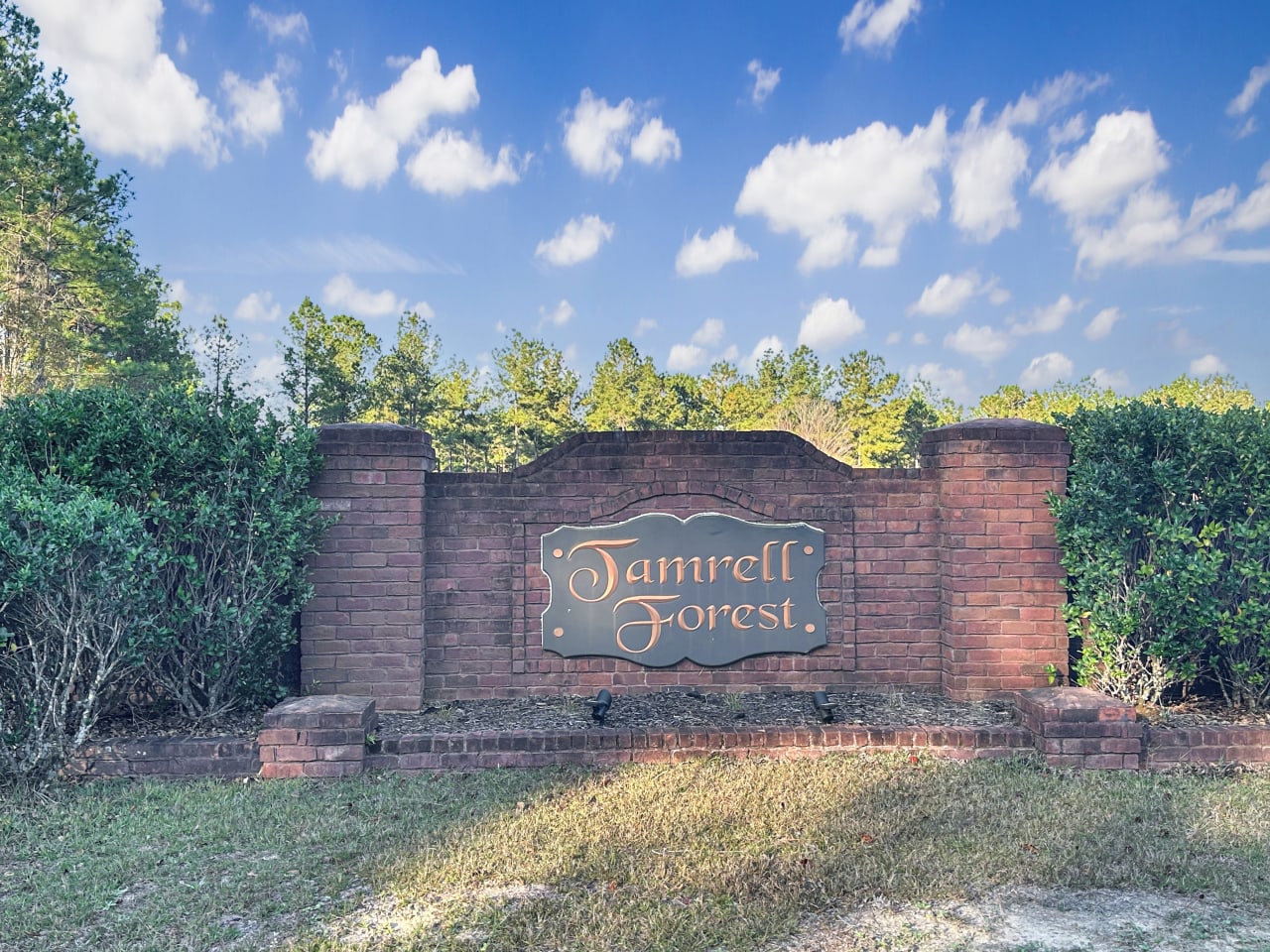 Tamrell Forest inception-app-prod/NzIwY2M0MDYtOWNhNi00Nzg3LWJiNTgtNmI1MzY4YWJlMDJh/content/2025/01/45cef9f135a14e2b855f970ec5cd435f6829f3c4.jpg