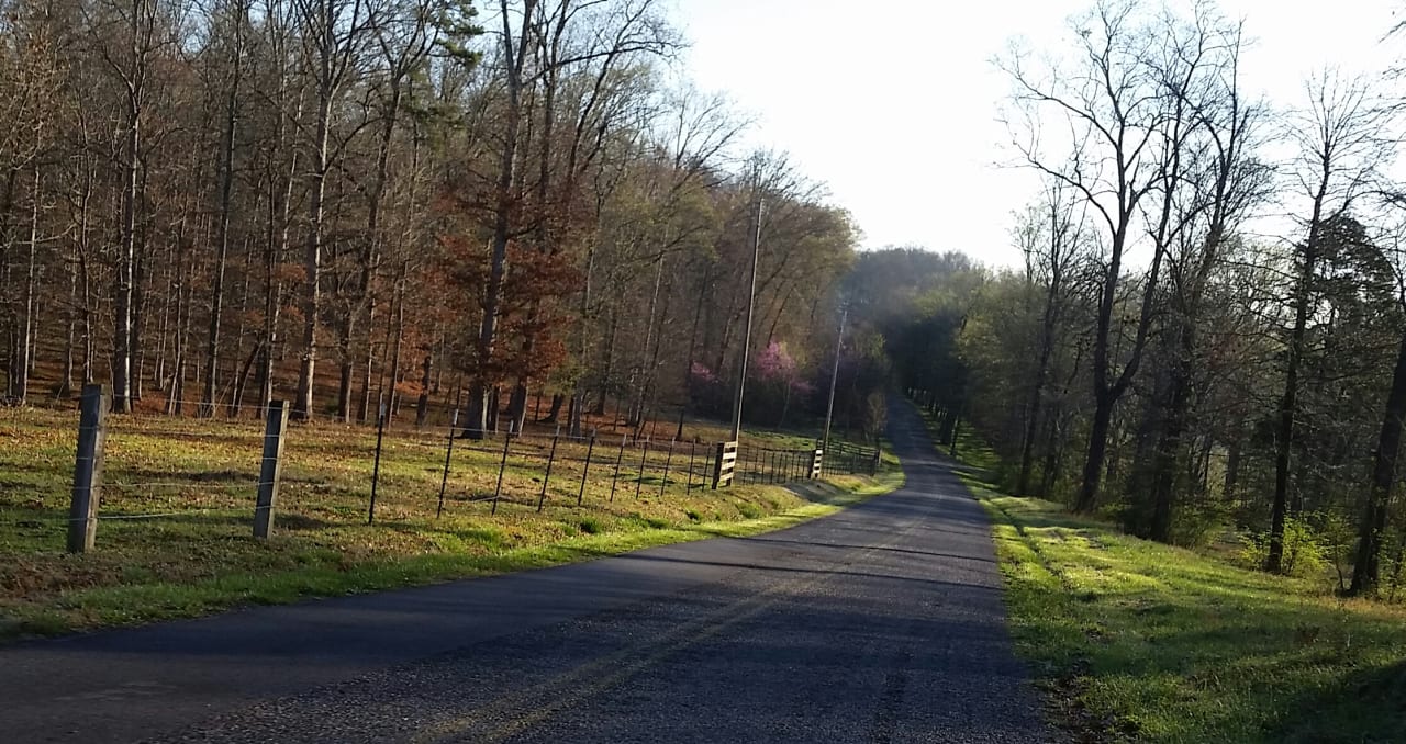 inception-app-prod/NzQ4YjJjNDctYmIyZS00NDU3LThhYTctZTE3MDc4ZmUzNjNh/content/2018/11/country road-2.jpg