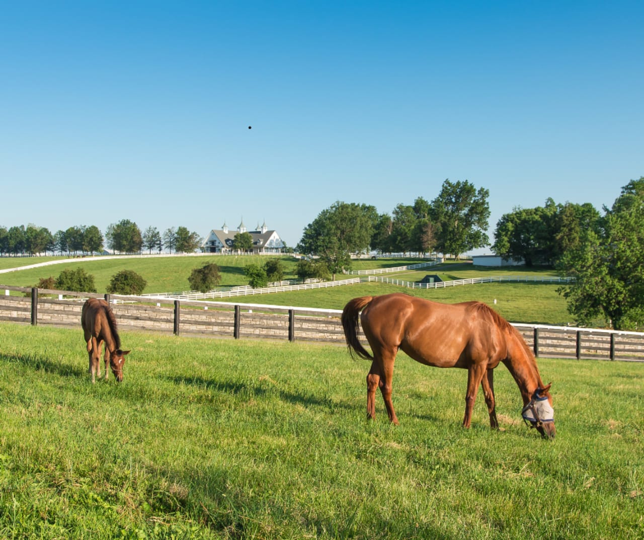 Cheatham County inception-app-prod/NzZiYmU2NDUtNTk1Ni00YTY4LWFmNWUtYjJjOGU2ZDEwMTQ1/content/2025/08/302d1d6acf6b3f6206c810d1f3063fa75a2dc0c9.png