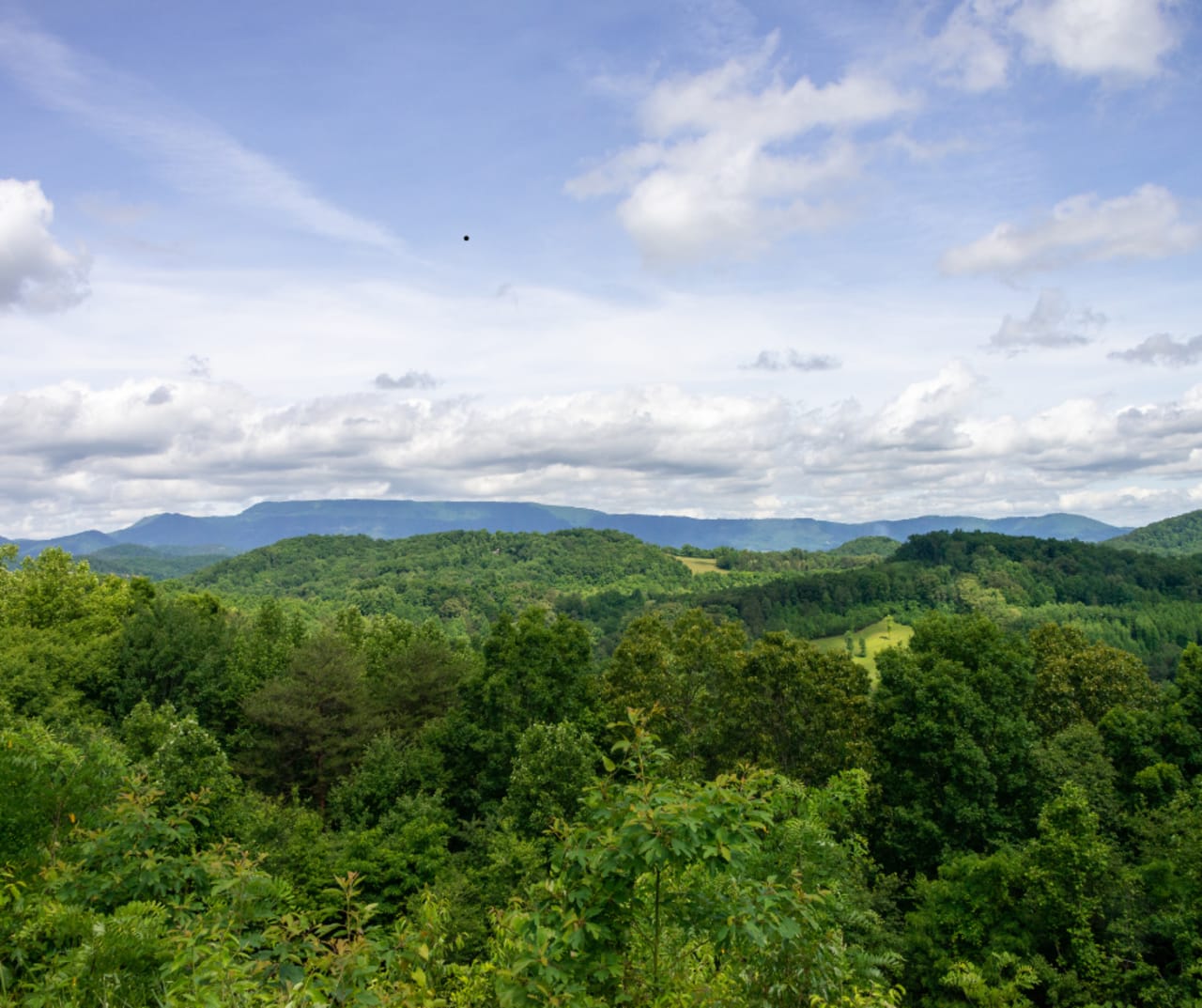 Humphreys County inception-app-prod/NzZiYmU2NDUtNTk1Ni00YTY4LWFmNWUtYjJjOGU2ZDEwMTQ1/content/2025/08/5a4388c6813aeb730c28df2154ba1bee07fc080b.png