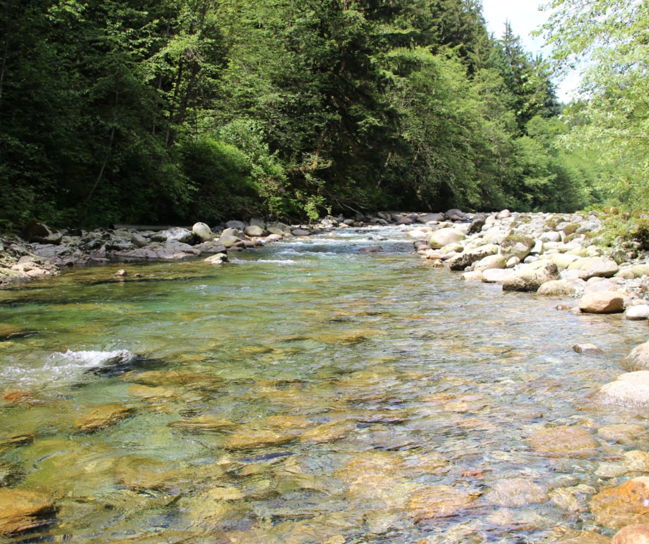 Hickman County inception-app-prod/NzZiYmU2NDUtNTk1Ni00YTY4LWFmNWUtYjJjOGU2ZDEwMTQ1/content/2025/08/9aa4fd2c2e62c39c6bd8ba2d09cb65a8f75593b5.png