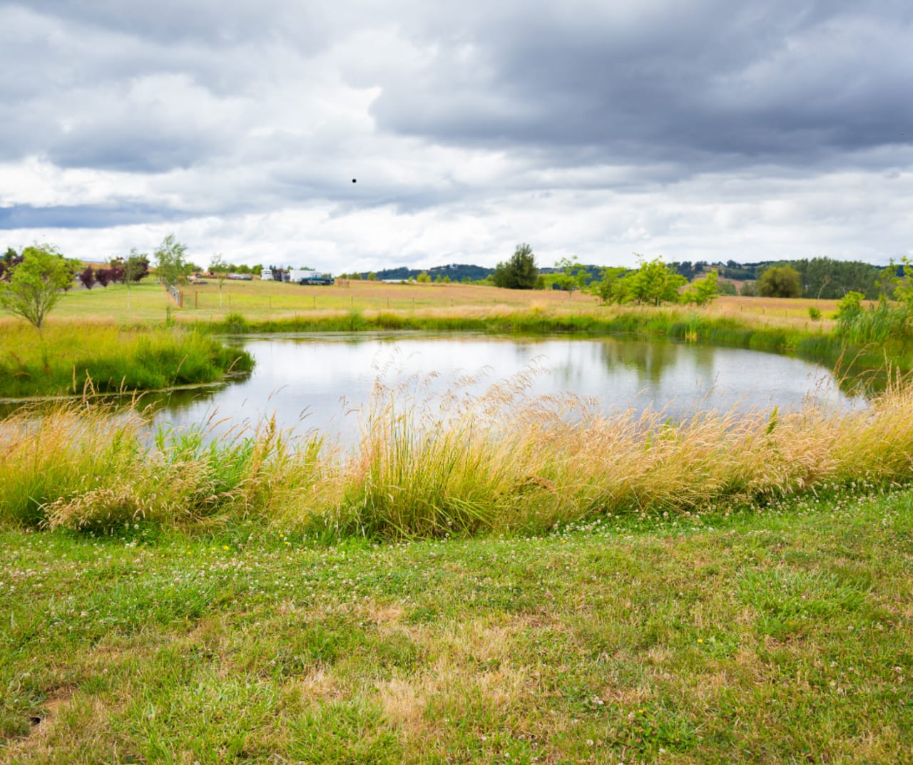 Williamson County inception-app-prod/NzZiYmU2NDUtNTk1Ni00YTY4LWFmNWUtYjJjOGU2ZDEwMTQ1/content/2025/08/fbd61edc738926a62dab6aa09c00b9c22064d458.png