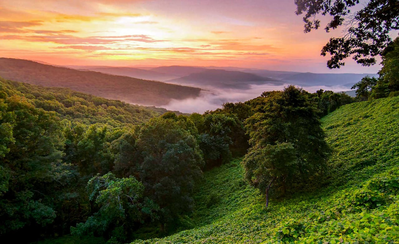 Wild and Free inception-app-prod/ODg0NTc4NzktZTg0Ni00NjU2LTk3NjAtYWYwY2Y2ZTMyZGYw/content/2021/05/missouri-ozark-mountains-hillside-sunrise.jpeg