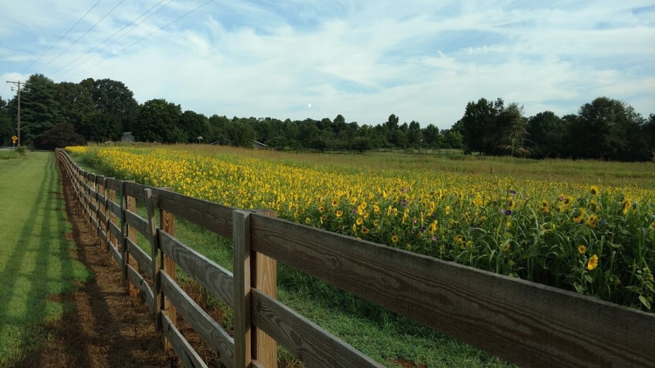 Areas inception-app-prod/OGU2M2Y0ZjItNDczMS00NWM1LWFhYzMtNTJiNjUxZDYzMTNm/content/2019/12/glenda-caldwell-1.jpg