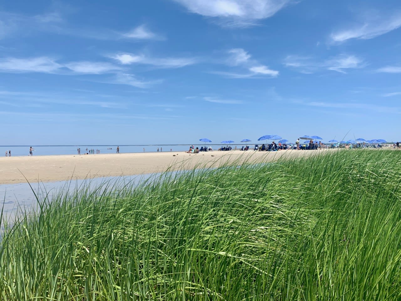 BEACHES inception-app-prod/OTBhYjkyNDUtMTc0Ni00MDRiLWI1OWQtMTRjNjZhNzIxY2Y4/content/2021/06/EllisLandingBeach2.jpg