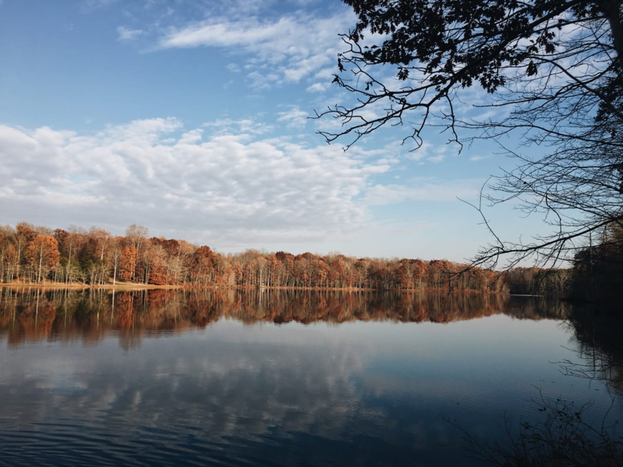 SPOTSYLVANIA inception-app-prod/OTVlOTU3MDUtNWU1NC00YmZiLThkZTItZDc5YjNhZWM5YzYz/content/2024/10/15d3180e5cf62499a6e659e0e3bd16a57ea210fc.jpg