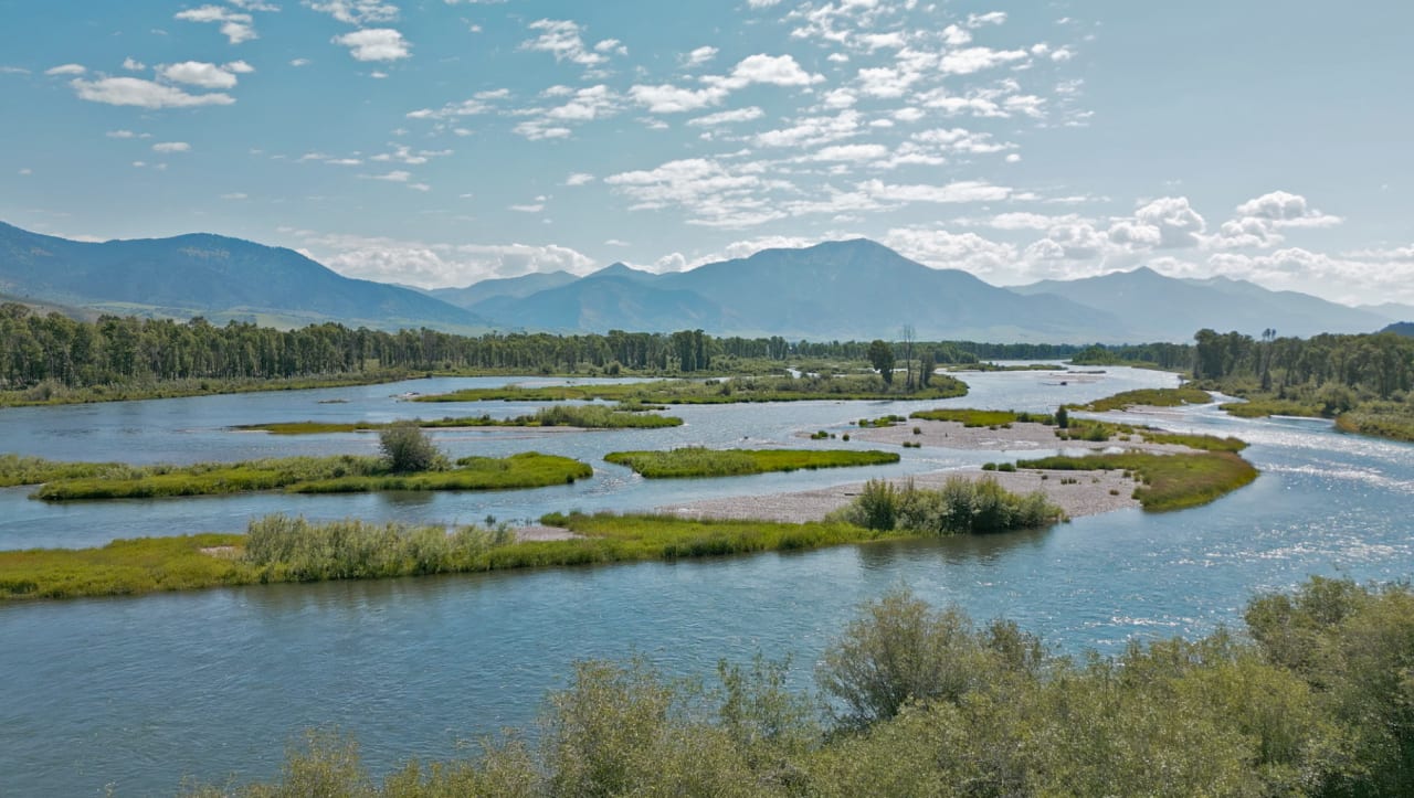 Homes for Sale in Swan Valley inception-app-prod/Y2IxOWUxYzYtMjlmOS00Njc3LTk2NzktMGJiNmU1ZjhlMzVj/content/2025/10/35d0ec47857b54f17ccc2a271d0581f2ec9f1691.jpg