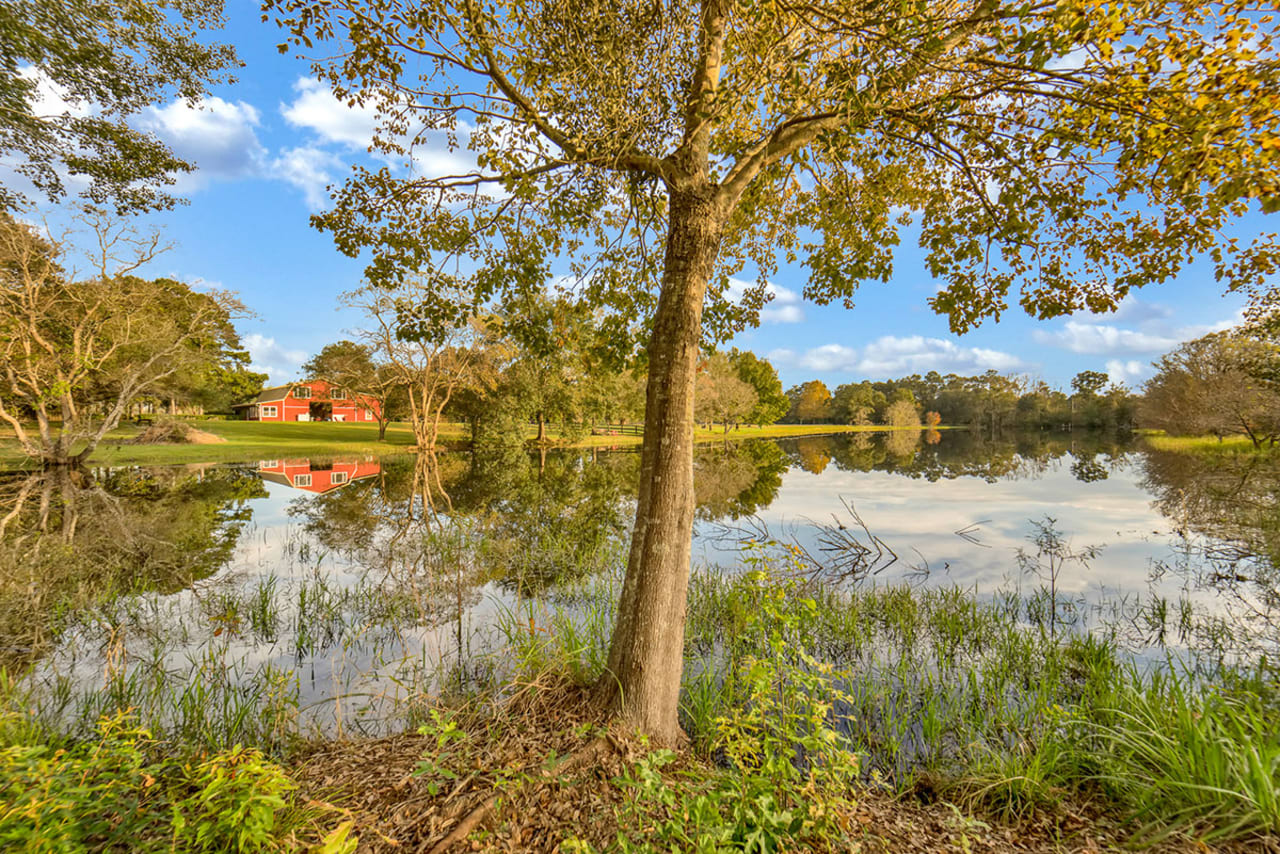 Semmes, AL Real Estate And Homes For Sale inception-app-prod/YTU5MDg3YjMtNmY3Ni00MjkwLWFhMWYtYzU4MThiZDk2OTFh/content/2023/08/3f6fd07de4fe79afa6d9bf510e2fddfac655d75a.jpg