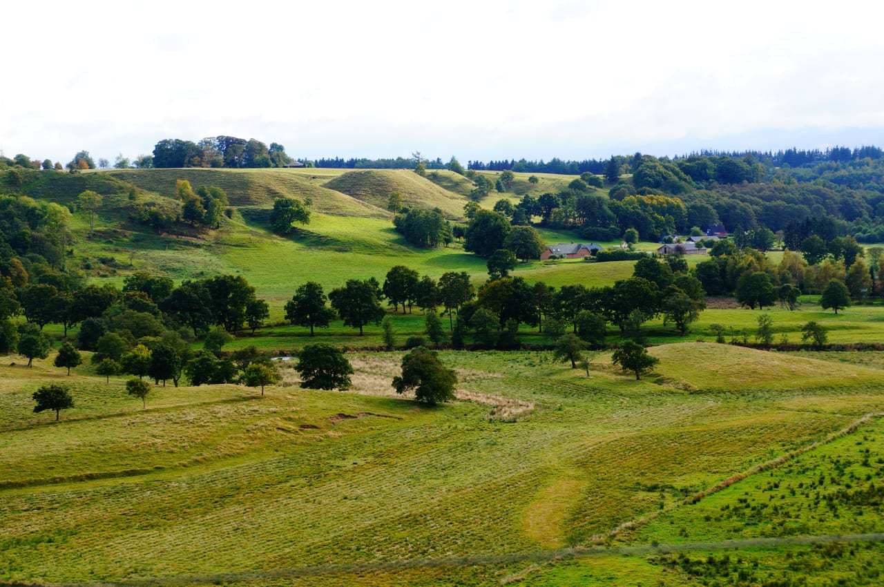 Melissa inception-app-prod/YWIwMmViNTktMGFmZS00MTU5LThjYjktZTEyNjg5ZGY3MzM1/content/2023/04/2071b1ee1d794c44f960abbd97c29f7646565afc.jpg