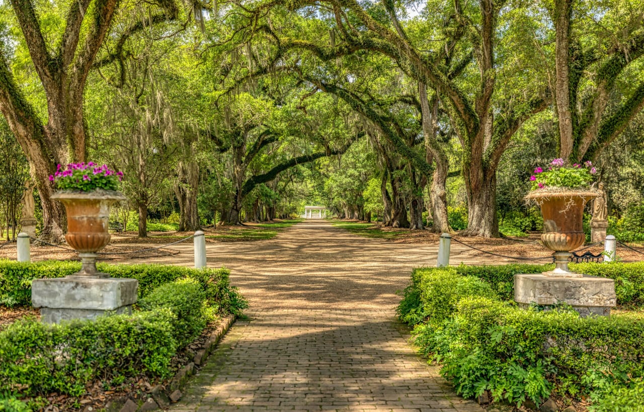 St. Francisville inception-app-prod/YWM1OWY1ZGItZTAwYi00YzVlLWEyMzAtYTQ2MGNjOTlmZjBi/content/2026/05/058f80f225c37362ac59b6e3c6c3dadce892caca.jpg