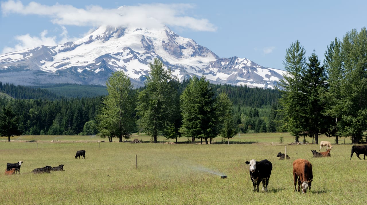 Sisters, Oregon Real Estate inception-app-prod/YWNkMmRlMjAtY2RkOC00NDU3LTkxMTctYjI3MTA5OGQzNWE0/content/2026/03/41d421291a20ad6f43c14b312b98df0966c68cb6.jpg