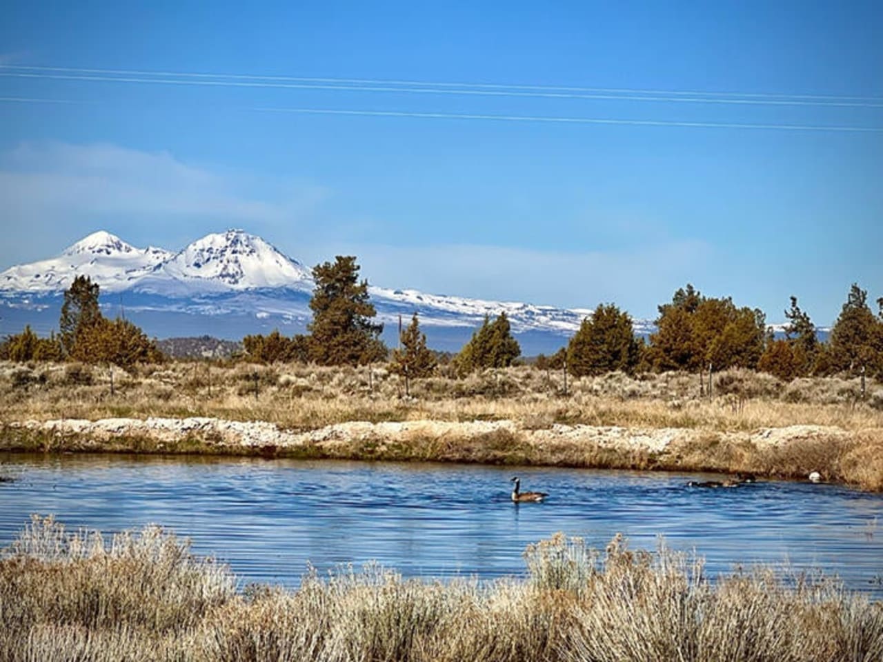 Redmond Oregon Real Estate: Centrally Located Living with Acreage, Trails & Outdoor Access inception-app-prod/YWNkMmRlMjAtY2RkOC00NDU3LTkxMTctYjI3MTA5OGQzNWE0/content/2026/03/b081fd7343a614e32ecdae8ef67a66911d1f2605.jpg