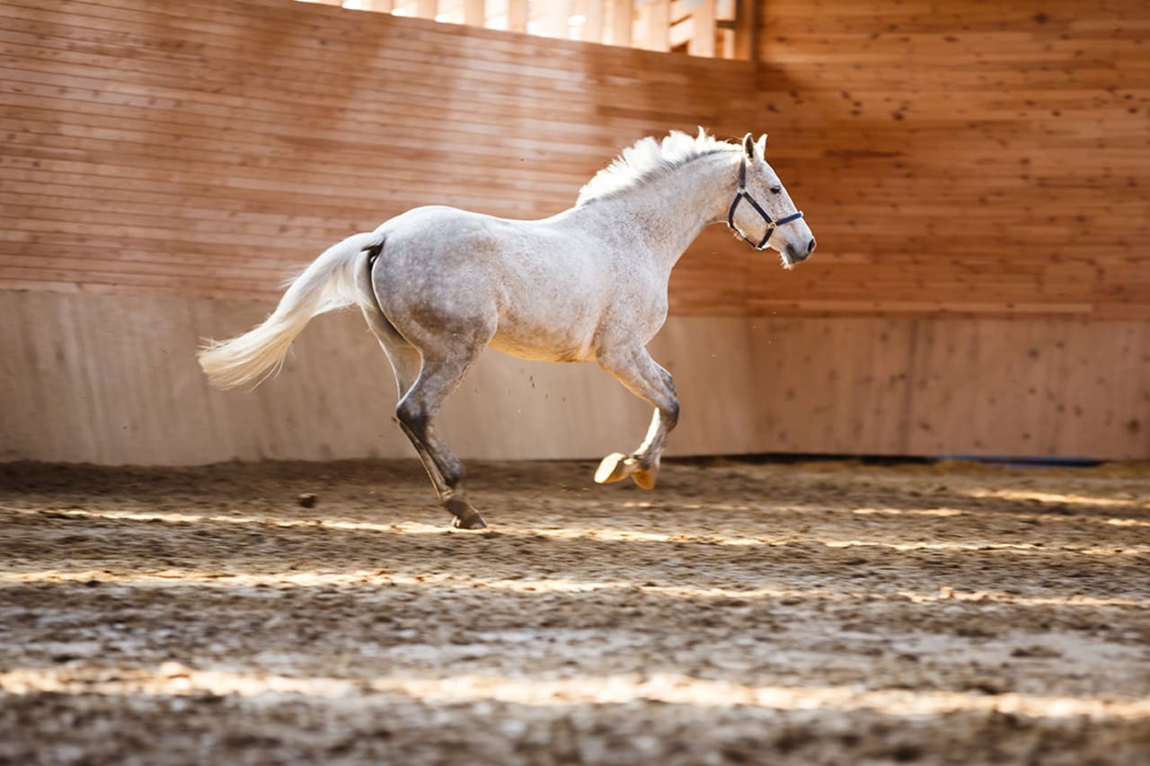 Central Oregon Property with Indoor Arenas inception-app-prod/YWNkMmRlMjAtY2RkOC00NDU3LTkxMTctYjI3MTA5OGQzNWE0/content/2026/03/dc466dfef292726db46f2c28f9a8381cd609bcce.jpg