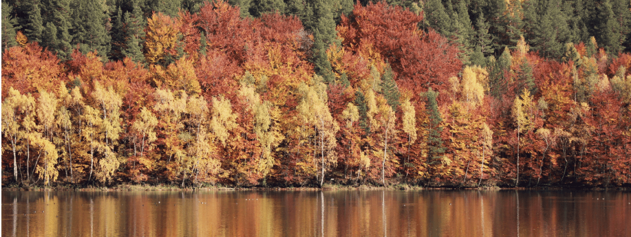 inception-app-prod/YWYwOWQzM2MtYzAwZS00YzEzLWEyMjEtMTQ4MDExYTMzYTk4%2Fcontent%2F2018%2F12%2FLand 85.png