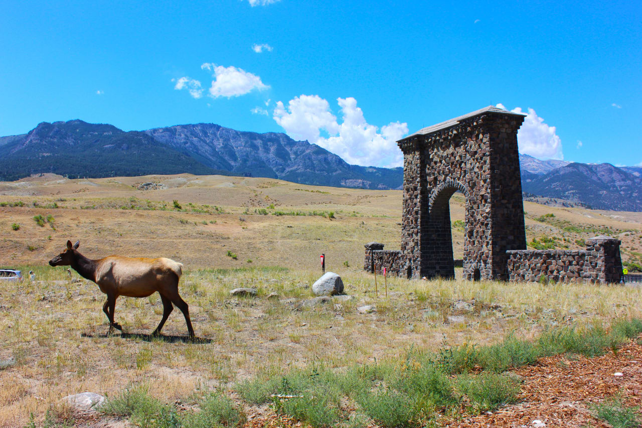 inception-app-prod/YjQzZjJiY2MtNjdkNC00MjM0LTg4ZDgtMzA0MGE0MTlkYTg0/content/2016/08/Gardiner Arch Elk.jpg