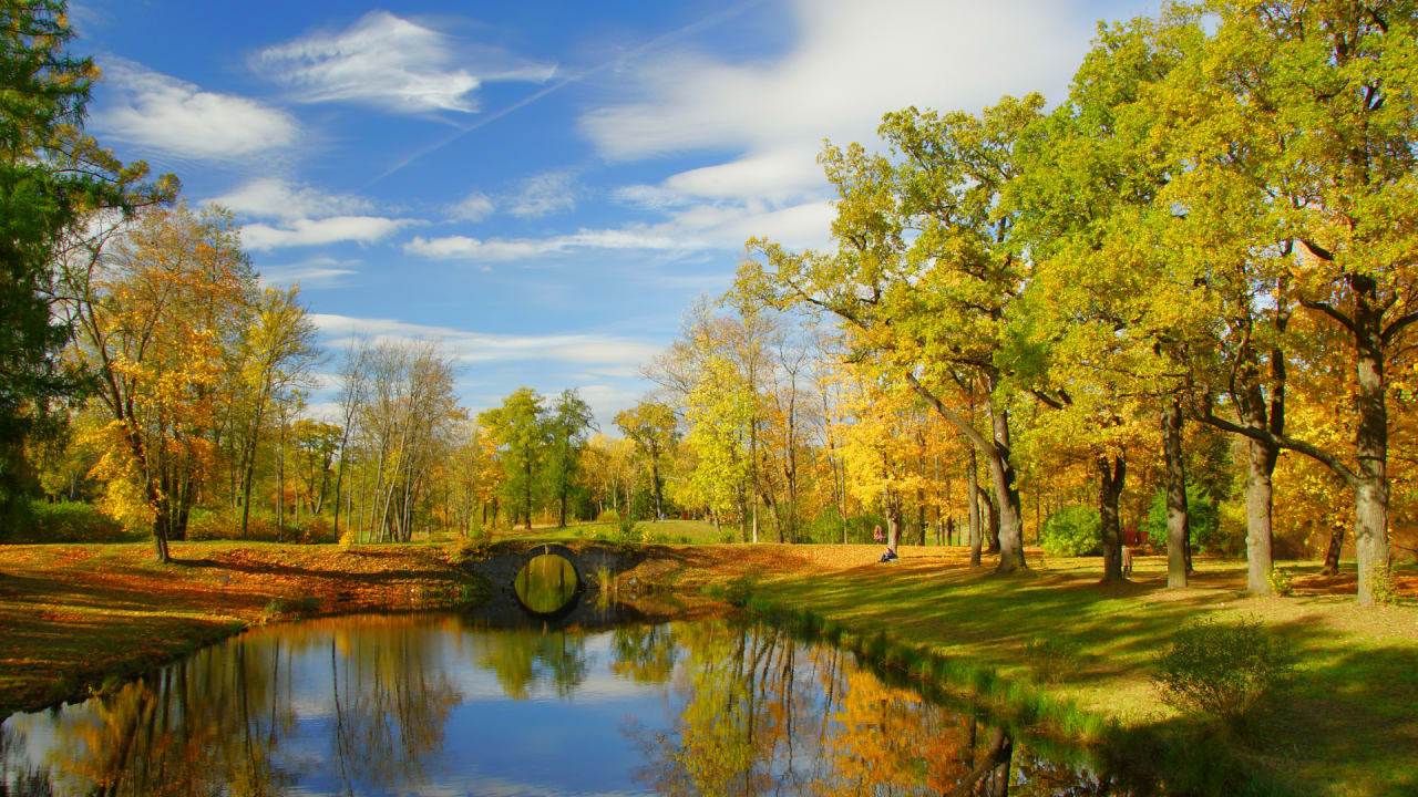 Westminster inception-app-prod/YmE0NGQ3YWUtNDU2NC00M2RmLTg0ZmEtNDBjMmZmNDExZGE2/content/2025/02/c07a47e940b77c22cc4eac670845f340d596a149.png