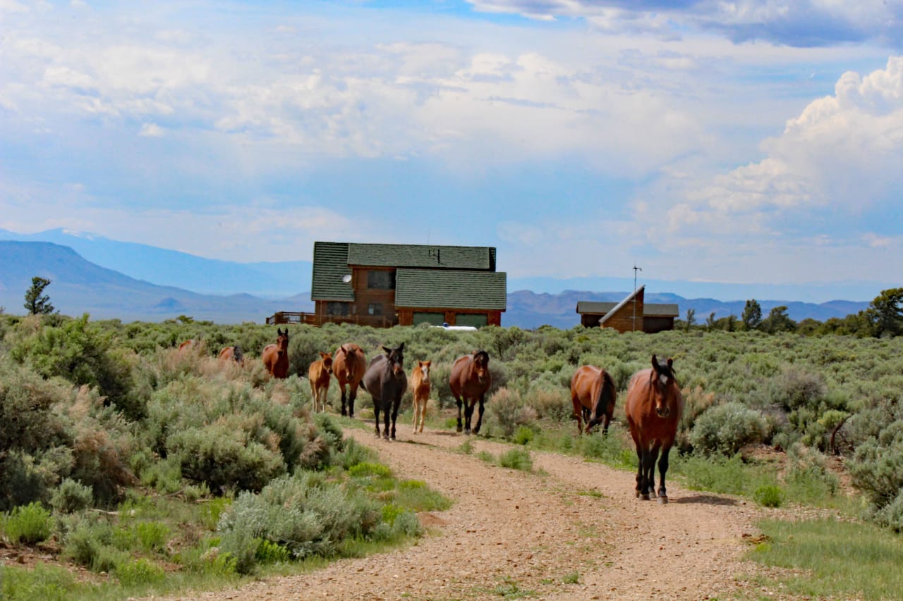 Wild Horse Mesa, San Luis, CO 81152 inception-app-prod/YmI4NWIzMTAtYzhlOC00MWRlLWFlYTAtMmMyYTBlZjc2OWNm/content/2026/01/61e2924401cca431ce994ccc97c910863e2f188e.jpg